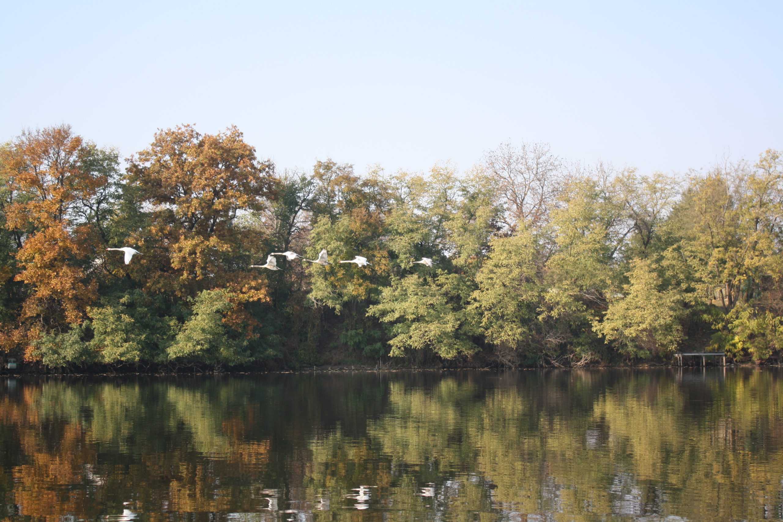 15a - Tisza